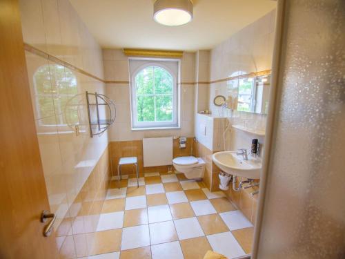 普雷罗斯坦伯格普雷罗酒店的一间带卫生间和水槽的浴室