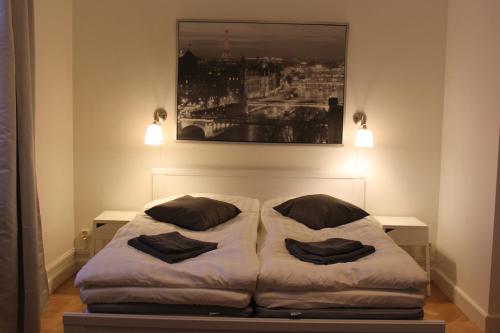 法尔肯贝里Vallarnas Bed & Breakfast的一张位于房间的床,上面有两个枕头