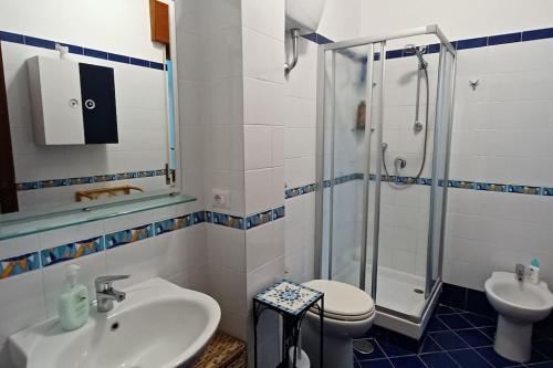 伊斯基亚Giardino Mediterraneo的一间带水槽、淋浴和卫生间的浴室