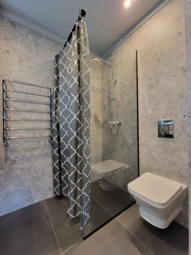 切尔诺夫策Czernowitz Deluxe Apartments的带淋浴和卫生间的浴室