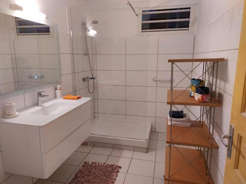 莱昂斯-达赫雷T2 cirique的带淋浴和盥洗盆的白色浴室