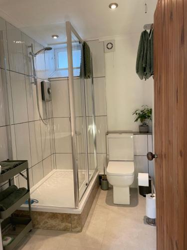 阿伯劳尔Coachmans Cottage的带淋浴和卫生间的浴室