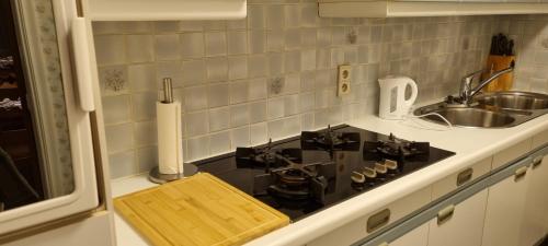 安特卫普SUPERB FLAT WITH 3 BEDROOMS PARKING AND BALCONy的厨房柜台配有炉灶和水槽