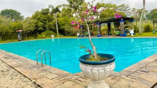Emeralda Villa Puncak Resort内部或周边的泳池