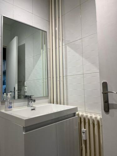埃夫勒APPARTEMENT 190的一间带水槽、镜子和散热器的浴室