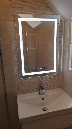 沃特福德Faithlegg House Hotel Holiday Lodge的一间带水槽和镜子的浴室