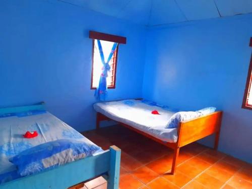 玛娜岛Mana Lagoon Backpackers的蓝色的客房设有两张床和窗户。