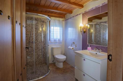 纳瓦孔塞霍casa rural La picotina的带淋浴、卫生间和盥洗盆的浴室