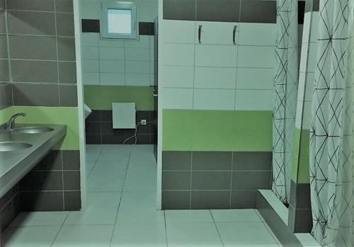 HolíčGAS Truck centrum的带淋浴、盥洗盆和镜子的浴室
