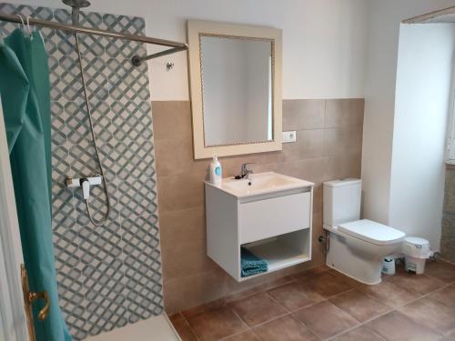 阿罗萨新镇pension mar de rosa的一间带水槽、卫生间和淋浴的浴室