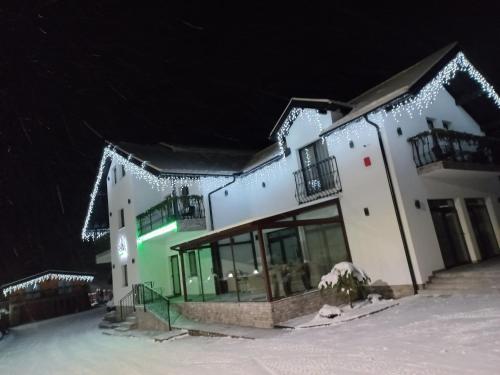 莫伊塞Pensiunea Paradisul Verde的雪中带圣诞灯的建筑