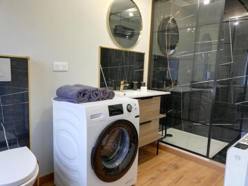 瓦朗西纳Calme/ Confortable / Esthétique / Centre-ville的一间带卫生间的浴室内的洗衣机