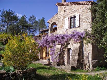 Les AssionsIdyllic Roulotte的一座古老的石头房子,上面有紫色的鲜花
