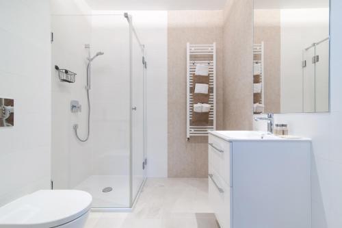 卡齐米日-多尔尼artROOM的带淋浴、卫生间和盥洗盆的浴室