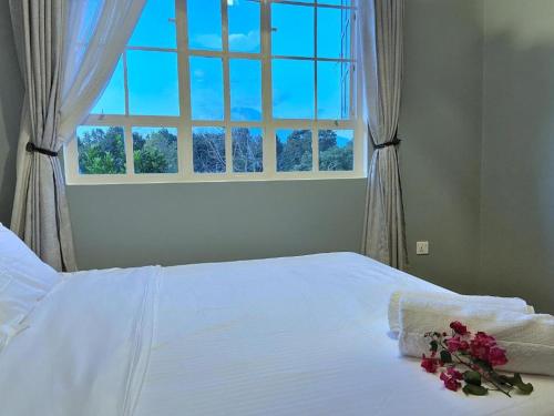 阿鲁沙Daria Apartment -Burka -3 minutes from Arusha Airport的卧室配有白色的床和窗户