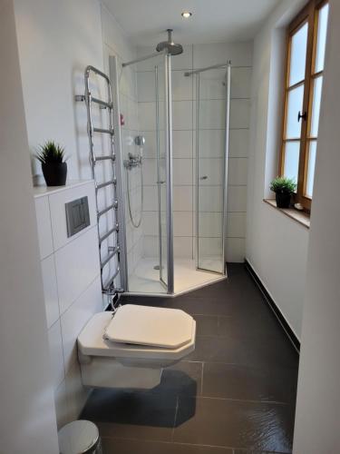 哈根Stadthaus nahe Fußgängerzone的一间带卫生间和玻璃淋浴间的浴室