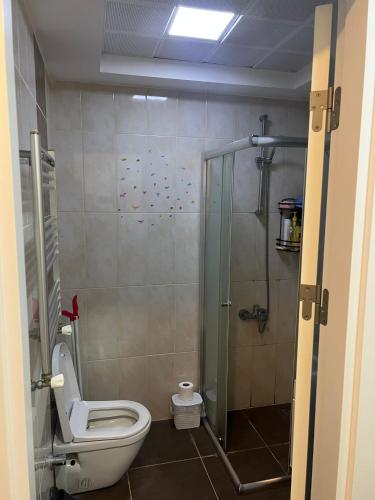 伊斯坦布尔Full furnished Stylish Flat in Istanbul的一间带卫生间和玻璃淋浴间的浴室