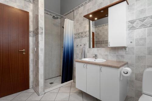 塞尔福斯Iceland Inn Lodge, entire place with hot tub.的一间带水槽、卫生间和镜子的浴室