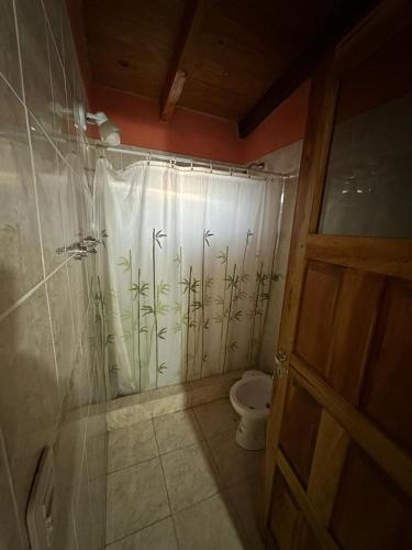 塔菲德尔瓦勒HOSPEDAJE TAFI的浴室配有带卫生间的淋浴帘