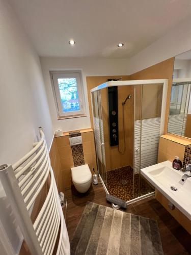 布伦瑞克索尔之家公寓的带淋浴、卫生间和盥洗盆的浴室