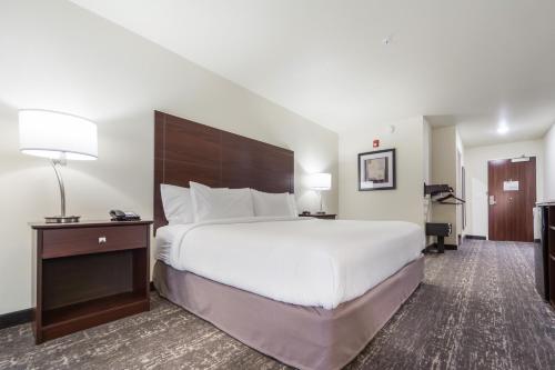 苏华德鹅卵石酒店及套房 - 西沃德的酒店客房设有一张大床和一张书桌。
