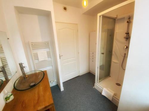 普瓦捷LE PERCHOIR-POITIERS-LaConciergerie的一间带水槽和淋浴的浴室