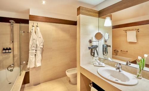 布尔戈斯布尔戈斯宫NH酒店的一间带水槽、淋浴和卫生间的浴室
