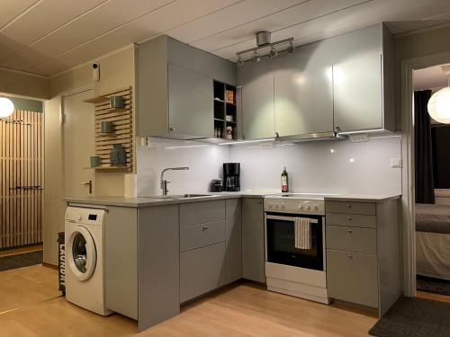 乌普萨拉Small house Uppsala的厨房配有水槽和洗衣机