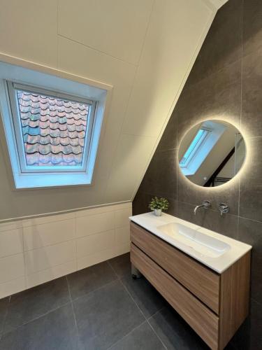 济里克泽De Haven的一间带水槽和窗户的浴室