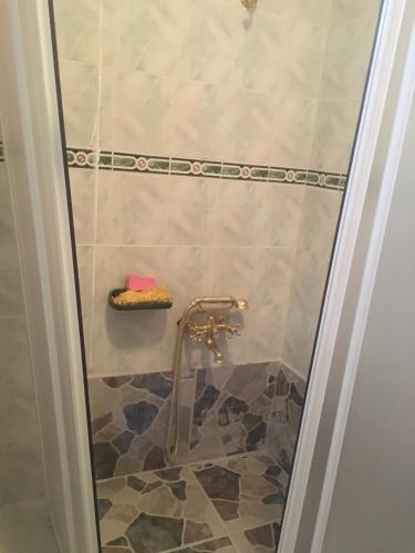 埃利特温泉Termal house的浴室设有水龙头淋浴。