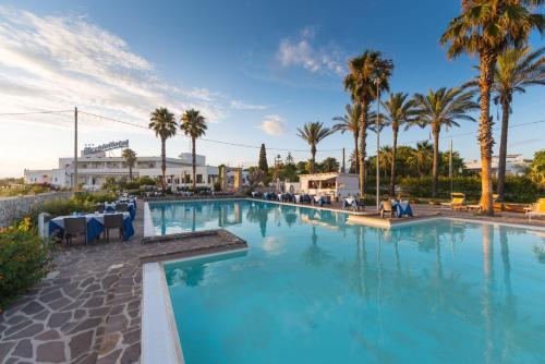 佩斯科勒海滨Picchio Hotel Pescoluse的一座棕榈树环绕的大型游泳池
