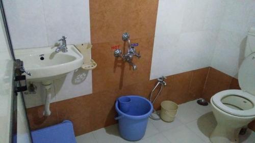 马哈巴莱斯赫瓦尔Krishna Niwas的一间带水槽和卫生间的小浴室