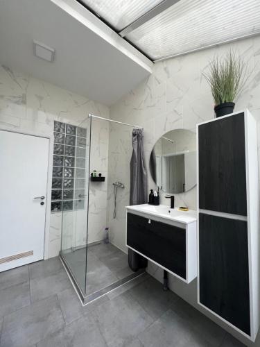 布鲁塞尔L Escapade Urbaine的一间带水槽、淋浴和镜子的浴室