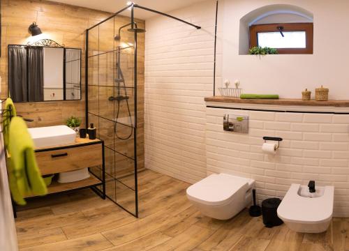 拉德库夫Dom Farmerski w Górach Stołowych的带淋浴、卫生间和盥洗盆的浴室
