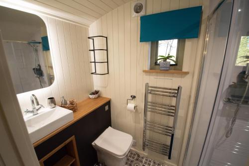 兰迪德诺Luxury Twin Shepherds Hut - Cosy & Romantic的一间带水槽、卫生间和淋浴的浴室