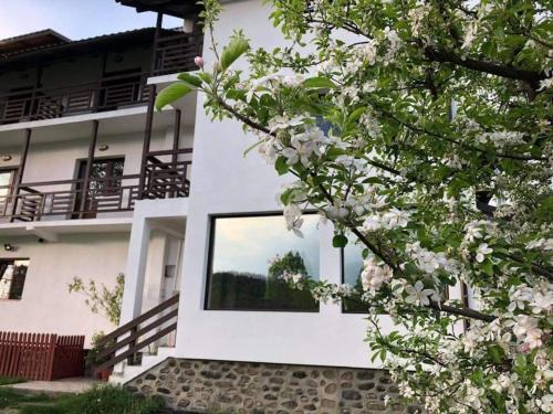 Căpăţîneni-Ungurenilivada-cu-meri的白色的房子,有窗户和一棵树