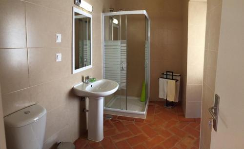 吉亚SOLAR DOS AVÓS的一间带水槽、淋浴和卫生间的浴室