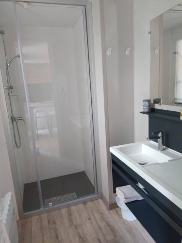 坎佩尔Mobile Home tout confort C13 Domaine de Lanniron的带淋浴和盥洗盆的浴室