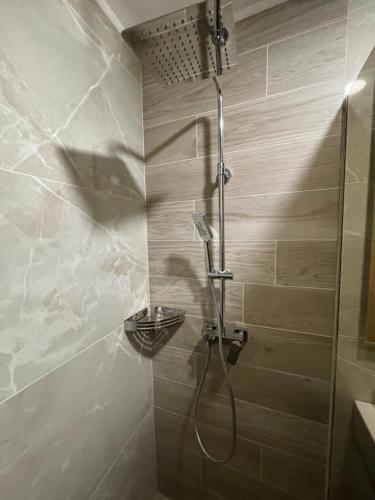 亚霍里纳Vila Jahor Superior Apartman 16 “Minja”的带淋浴喷头的浴室