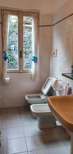 曼德洛德拉廖L For Lake的浴室设有2个卫生间、水槽和窗户。