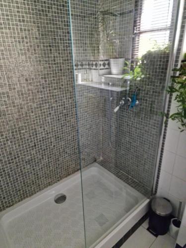 德拉吉尼昂Le Mas du Sud的浴室里设有玻璃门淋浴