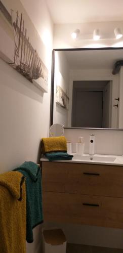 Grand-Village-PlagePomme de Pin et Mimosa的一间带水槽和镜子的浴室