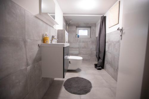 汉诺威80qm - 4 rooms - privat parking - Keller-Basement - MalliBase Apartments的一间带水槽和卫生间的浴室