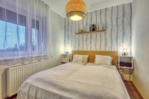 费尔特拉科什HAROL Home & Bike的一间卧室设有一张大床和一个窗户。