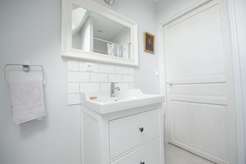 桑斯Villa Clément Sens Appart'Hotel的白色的浴室设有水槽和镜子