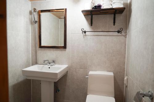 全州市Samlockhon Hanokstay的一间带水槽、卫生间和镜子的浴室
