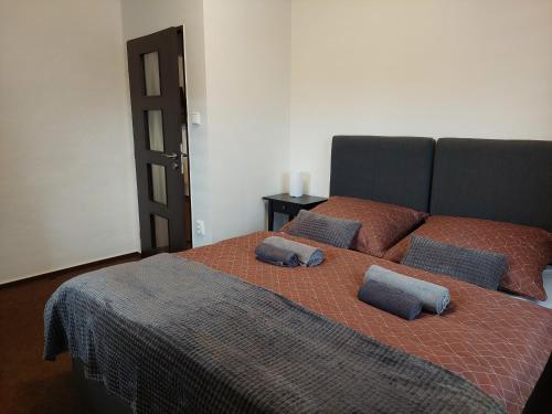 切尔尼杜尔Apartmán 85的一间卧室配有一张大床和两个枕头