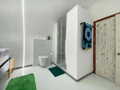 莫尔科泰Appartamento Ca' Sistina Green a Morcote的一间带卫生间和玻璃淋浴间的浴室