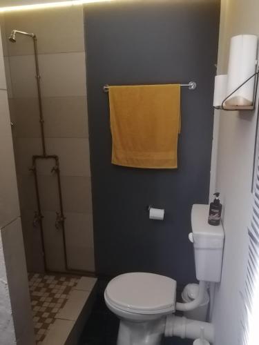 彼得马里茨堡Exquisite Minimalistic Room的浴室设有卫生间和带黄毛巾的淋浴。