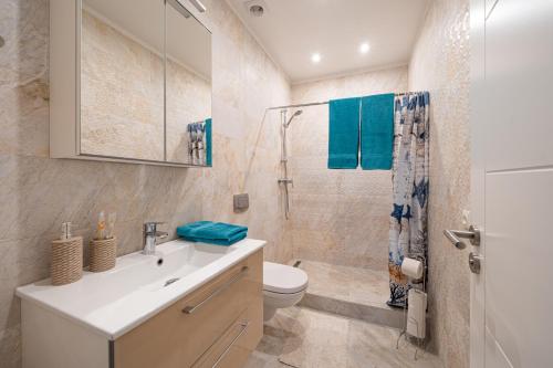 里加1-bedroom penthouse with underground parking的一间带水槽、卫生间和淋浴的浴室